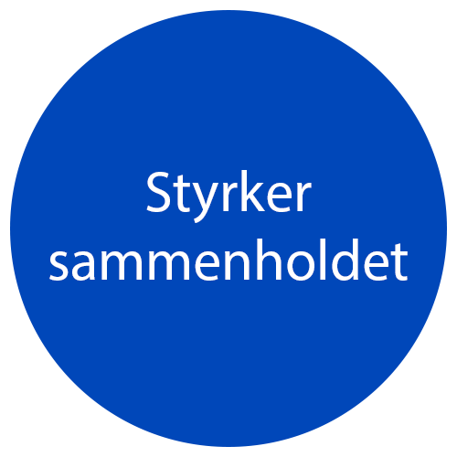 cirkel4